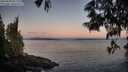 ./images/koeye/fitz-hugh/20250608/fitz-hugh20250608_051509M.jpg
