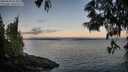 ./images/koeye/fitz-hugh/20250608/fitz-hugh20250608_053009M.jpg