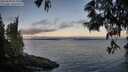 ./images/koeye/fitz-hugh/20250608/fitz-hugh20250608_053506M.jpg