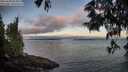 ./images/koeye/fitz-hugh/20250608/fitz-hugh20250608_054009M.jpg