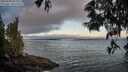 ./images/koeye/fitz-hugh/20250608/fitz-hugh20250608_054509M.jpg
