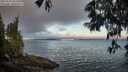 ./images/koeye/fitz-hugh/20250608/fitz-hugh20250608_055507M.jpg