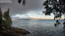 ./images/koeye/fitz-hugh/20250608/fitz-hugh20250608_061011M.jpg