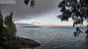 ./images/koeye/fitz-hugh/20250608/fitz-hugh20250608_061510M.jpg