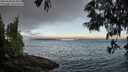 ./images/koeye/fitz-hugh/20250608/fitz-hugh20250608_062011M.jpg