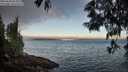 ./images/koeye/fitz-hugh/20250608/fitz-hugh20250608_062509M.jpg