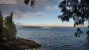 ./images/koeye/fitz-hugh/20250608/fitz-hugh20250608_063510M.jpg
