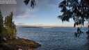 ./images/koeye/fitz-hugh/20250608/fitz-hugh20250608_064011M.jpg