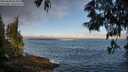 ./images/koeye/fitz-hugh/20250608/fitz-hugh20250608_064510M.jpg