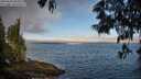 ./images/koeye/fitz-hugh/20250608/fitz-hugh20250608_065010M.jpg