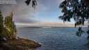 ./images/koeye/fitz-hugh/20250608/fitz-hugh20250608_065509M.jpg