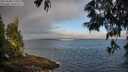 ./images/koeye/fitz-hugh/20250608/fitz-hugh20250608_070011M.jpg