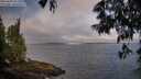 ./images/koeye/fitz-hugh/20250608/fitz-hugh20250608_071510M.jpg
