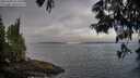 ./images/koeye/fitz-hugh/20250608/fitz-hugh20250608_073508M.jpg
