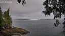 ./images/koeye/fitz-hugh/20250608/fitz-hugh20250608_080012M.jpg