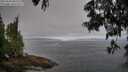 ./images/koeye/fitz-hugh/20250608/fitz-hugh20250608_083510M.jpg
