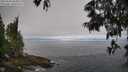 ./images/koeye/fitz-hugh/20250608/fitz-hugh20250608_084010M.jpg