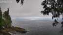 ./images/koeye/fitz-hugh/20250608/fitz-hugh20250608_084510M.jpg