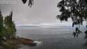 ./images/koeye/fitz-hugh/20250608/fitz-hugh20250608_085010M.jpg