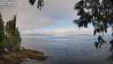 ./images/koeye/fitz-hugh/20250608/fitz-hugh20250608_085510M.jpg