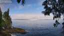 ./images/koeye/fitz-hugh/20250608/fitz-hugh20250608_090012M.jpg