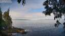 ./images/koeye/fitz-hugh/20250608/fitz-hugh20250608_090510M.jpg