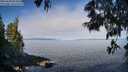 ./images/koeye/fitz-hugh/20250608/fitz-hugh20250608_091011M.jpg