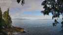 ./images/koeye/fitz-hugh/20250608/fitz-hugh20250608_091510M.jpg
