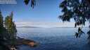 ./images/koeye/fitz-hugh/20250608/fitz-hugh20250608_092011M.jpg