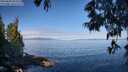 ./images/koeye/fitz-hugh/20250608/fitz-hugh20250608_092510M.jpg