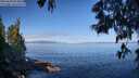 ./images/koeye/fitz-hugh/20250608/fitz-hugh20250608_093009M.jpg