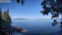 ./images/koeye/fitz-hugh/20250608/fitz-hugh20250608_093509M.jpg