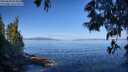./images/koeye/fitz-hugh/20250608/fitz-hugh20250608_094010M.jpg