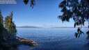 ./images/koeye/fitz-hugh/20250608/fitz-hugh20250608_094510M.jpg