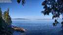 ./images/koeye/fitz-hugh/20250608/fitz-hugh20250608_095011M.jpg