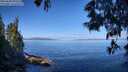 ./images/koeye/fitz-hugh/20250608/fitz-hugh20250608_095510M.jpg