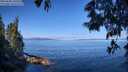 ./images/koeye/fitz-hugh/20250608/fitz-hugh20250608_100509M.jpg