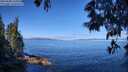 ./images/koeye/fitz-hugh/20250608/fitz-hugh20250608_101010M.jpg