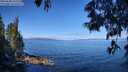 ./images/koeye/fitz-hugh/20250608/fitz-hugh20250608_101510M.jpg
