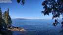 ./images/koeye/fitz-hugh/20250608/fitz-hugh20250608_102510M.jpg