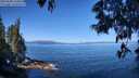 ./images/koeye/fitz-hugh/20250608/fitz-hugh20250608_103009M.jpg