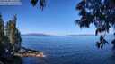 ./images/koeye/fitz-hugh/20250608/fitz-hugh20250608_103509M.jpg