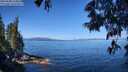 ./images/koeye/fitz-hugh/20250608/fitz-hugh20250608_104011M.jpg