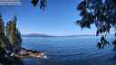 ./images/koeye/fitz-hugh/20250608/fitz-hugh20250608_104510M.jpg