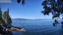 ./images/koeye/fitz-hugh/20250608/fitz-hugh20250608_105008M.jpg
