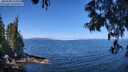 ./images/koeye/fitz-hugh/20250608/fitz-hugh20250608_111010M.jpg
