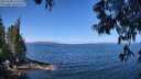 ./images/koeye/fitz-hugh/20250608/fitz-hugh20250608_111511M.jpg