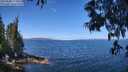 ./images/koeye/fitz-hugh/20250608/fitz-hugh20250608_112010M.jpg