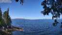 ./images/koeye/fitz-hugh/20250608/fitz-hugh20250608_112509M.jpg