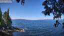 ./images/koeye/fitz-hugh/20250608/fitz-hugh20250608_113012M.jpg